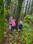 How old are the trees in our Woodland? 